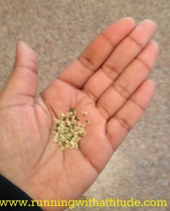 hemp in hand