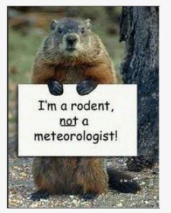 groundhog day