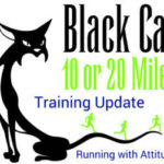 Black Cat Weeks 3 and 4