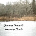 January Wrap & February Goals