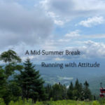 A Mid-Summer Break