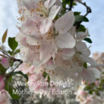 Weekly Run Down – Mother’s Day Edition
