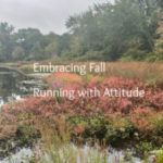 Embracing Fall