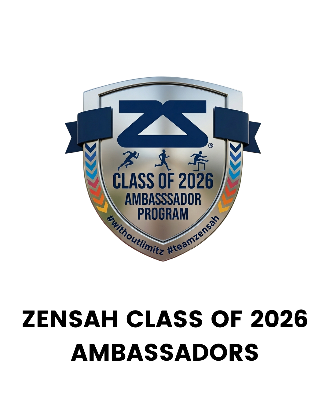 <span class="widget-headline">Team Zensah</span>