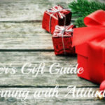 2017 Gift Guide for Runners